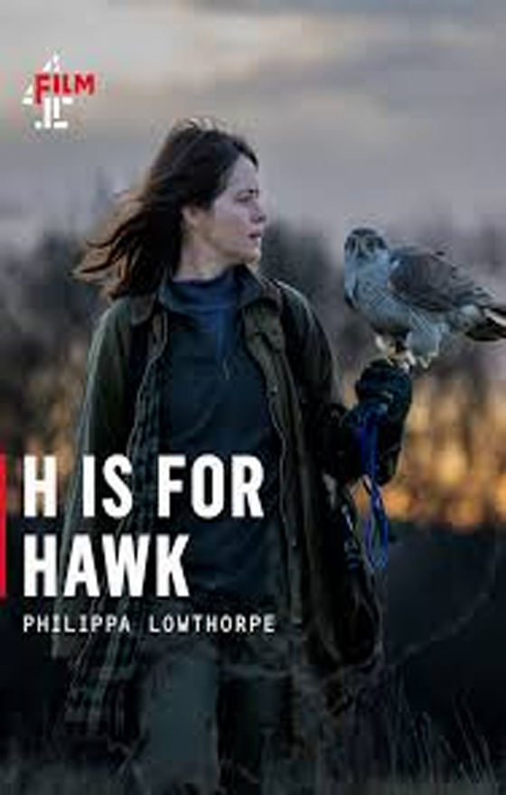 error loading movie image